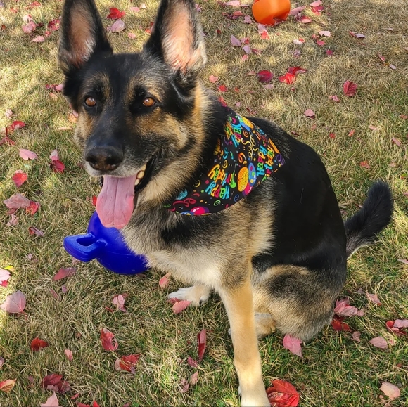 Like To Be Notified When I Go Live 🥳🫶🏻❤️ - Picture 2 of 9